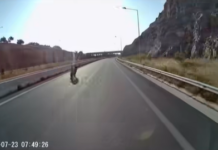 Βίντεο – σοκ: Μοτοσικλετιστής προσπερνά με ταχύτητα που κόβει την ανάσα