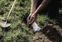 Γιατί 1.000 άνθρωποι έθαψαν τα εσώρουχά τους στο χώμα – Περίμεναν δύο μήνες για να δουν τι θα συμβεί