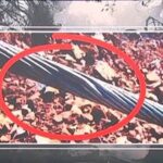 Φωτιά σε Δυτική Αττική και Βοιωτία: Λουκέτο στο αιολικό πάρκο