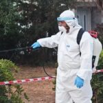 Ιός Δυτικού Νείλου: Νέα κρούσματα σε Ραφήνα, Πικέρμι και Μαραθώνα – Τι δείχνει η νέα έκθεση του ΕΟΔΥ