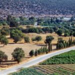 Τα κτήματα του Κάτω Σουλίου που τρέφουν την Αθήνα