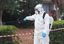 Μαραθώνας: Νέος κύκλος ψεκασμών για τα κουνούπια από σήμερα