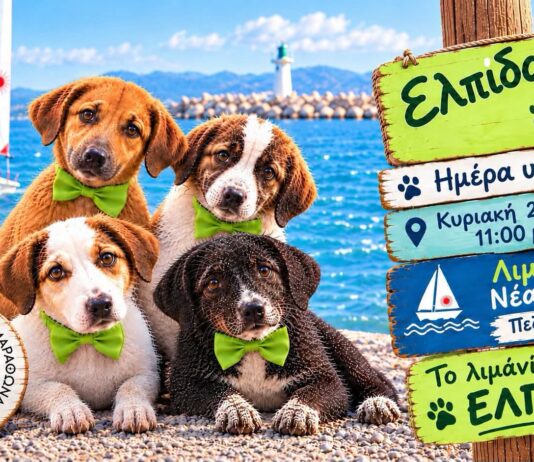 Αφίσα συλλόγου Ελπίδα για ημέρα υιοθεσίας Κυριακή 25 Οκτωβρίου 11:00-14:00 στο λιμανάκι Νέας Μάκρης