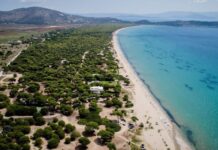 Εμείς Μαραθώνας: «Χάθηκαν» 500.000 ευρώ για τα μονοπάτια; Φυσικό τοπίο στον Σχινιά Μαραθώνα, ενδεικτική φωτογραφία για τα μονοπάτια