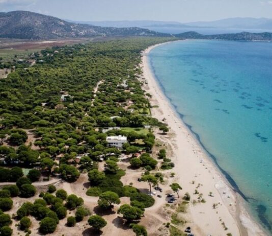 Φυσικό τοπίο στον Σχινιά Μαραθώνα, ενδεικτική φωτογραφία για τα μονοπάτια