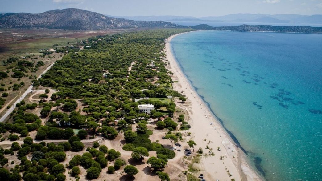 Φυσικό τοπίο στον Σχινιά Μαραθώνα, ενδεικτική φωτογραφία για τα μονοπάτια